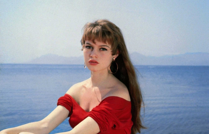 Брижит Бардо